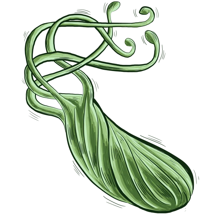 dieta helicobacter pylori