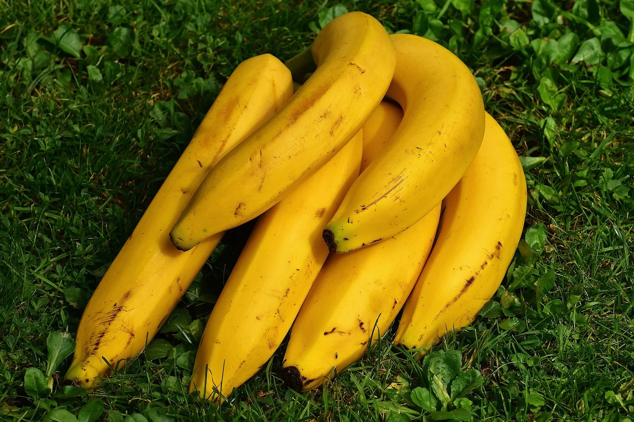dieta cu banane si lapte