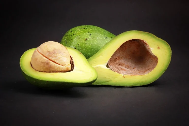 dieta low carb