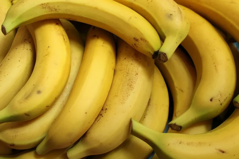 dieta anti-stres