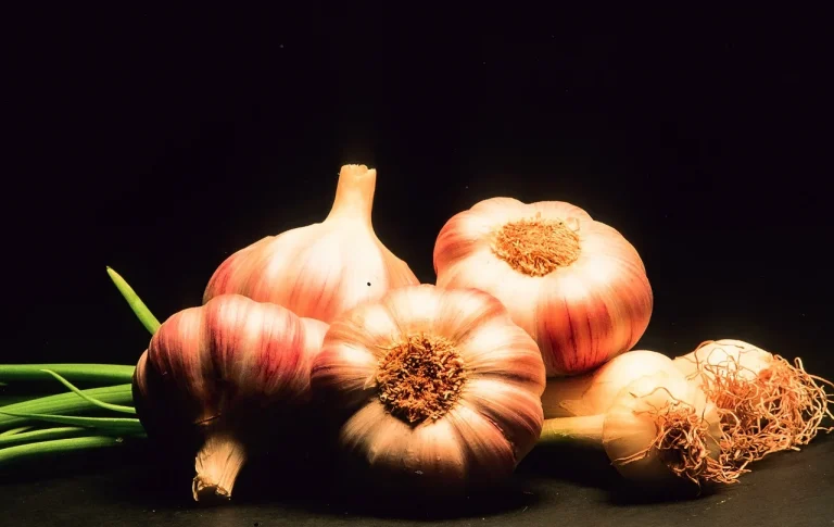 dieta disociata 222