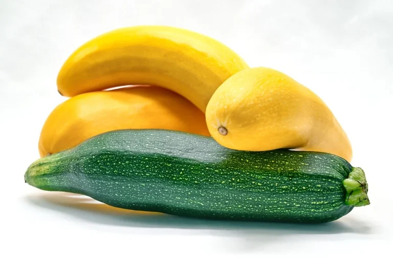 dieta pentru intolerante alimentare