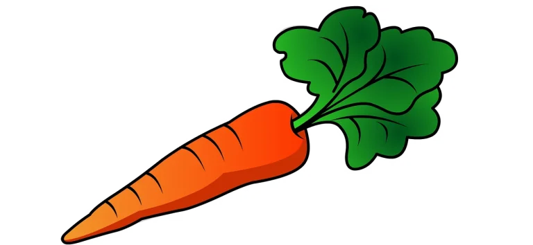 dieta pentru cancer esofagian