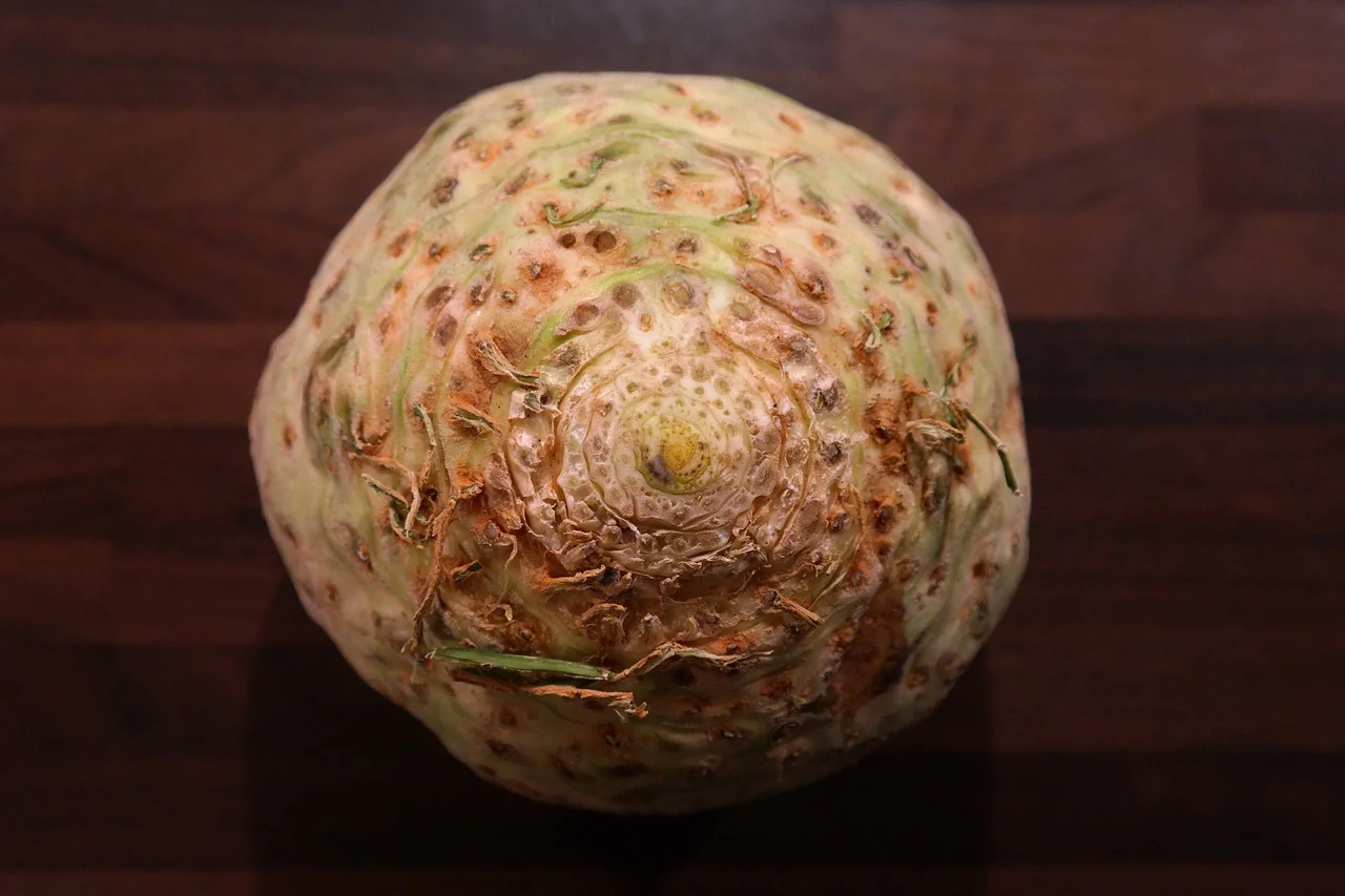 dieta raw vegan