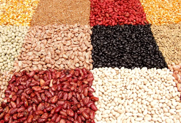 dieta nutritarian
