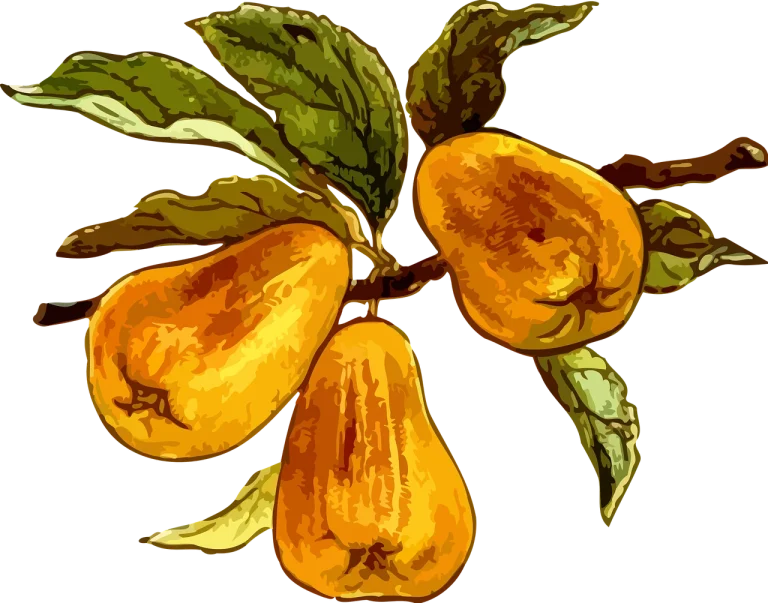 dieta pritikin