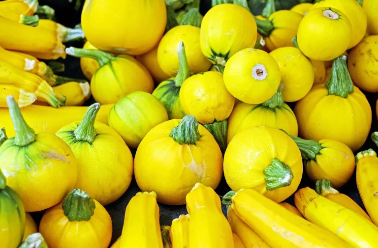 dieta low-fodmap