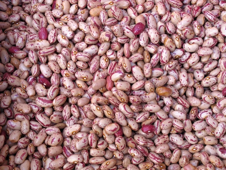 dieta hipolipidica