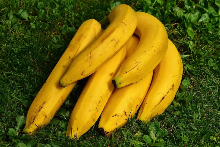 dieta pentru rotavirus