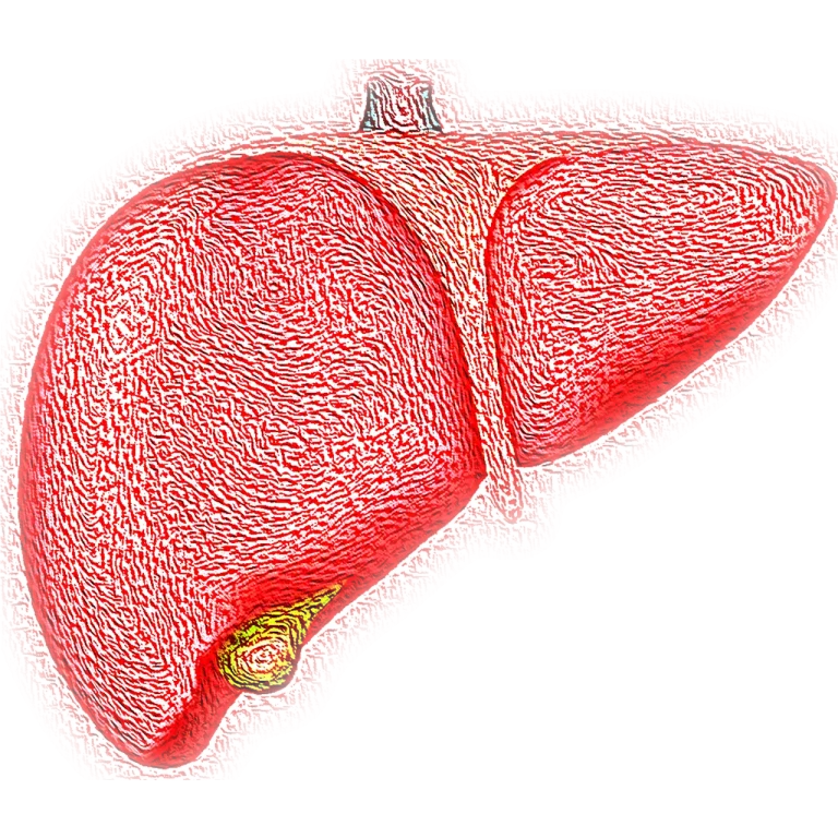 speranta de viata dupa transplant de ficat