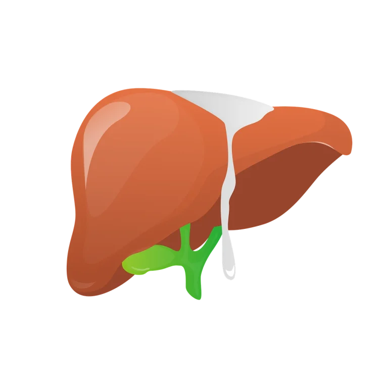 dieta pentru pancreas si ficat