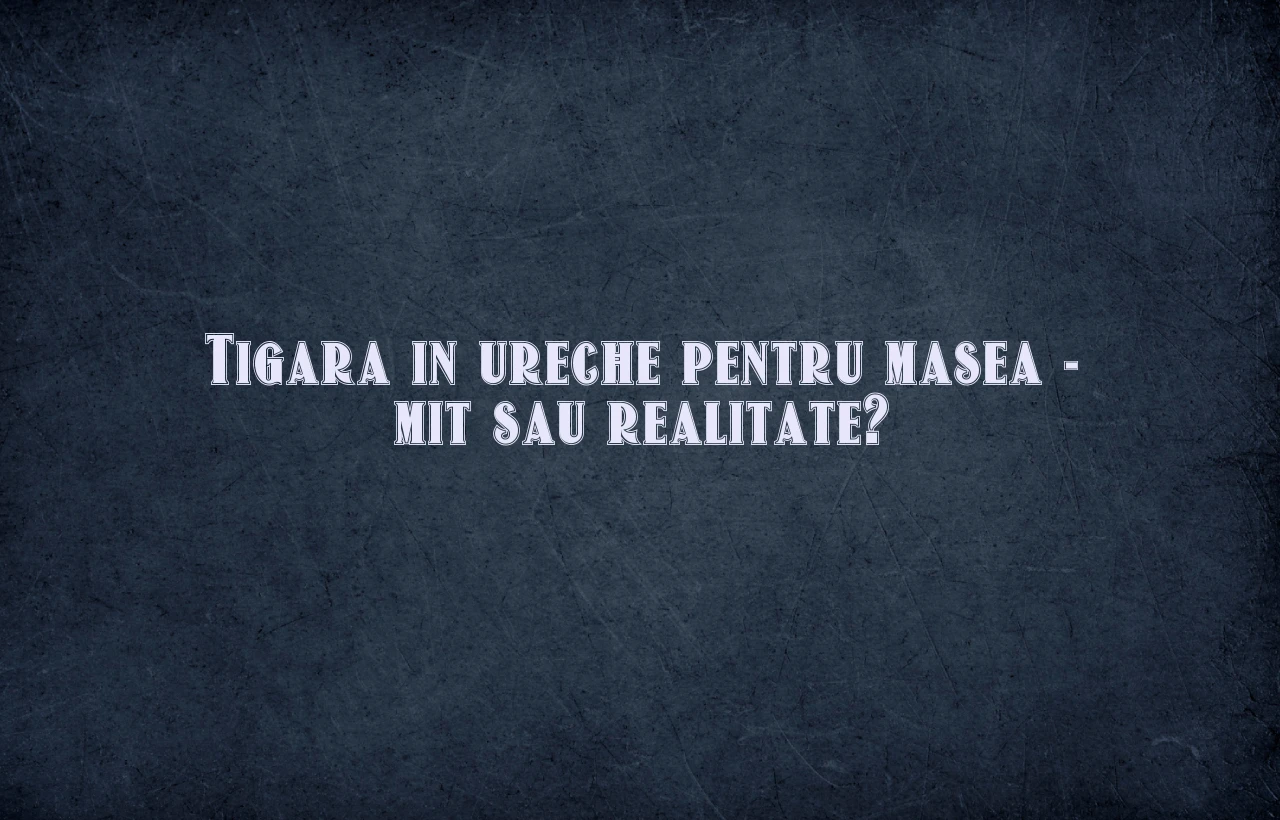 tigara in ureche pentru masea