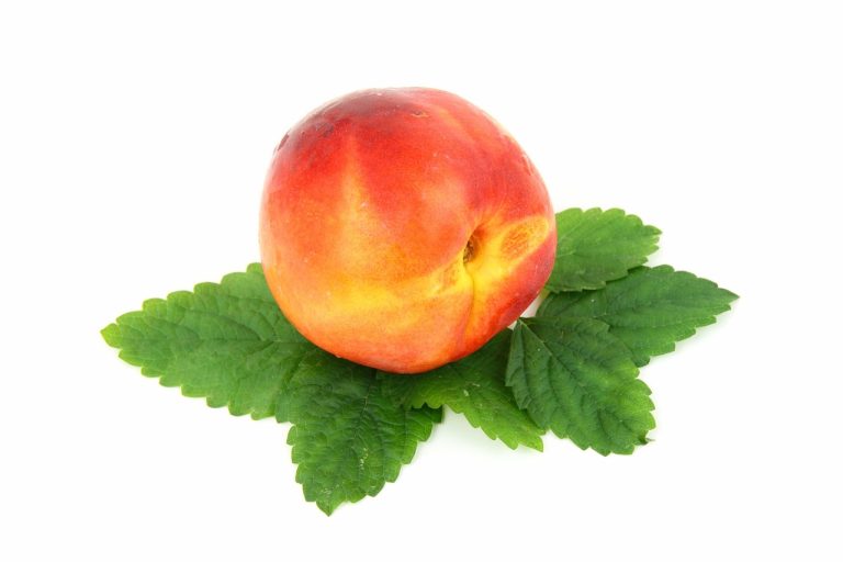 cate calorii are o nectarina